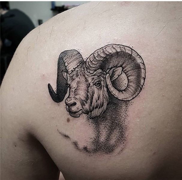 Aries Astrology Fresh Ram Tattoo Djurtatueringar, Hund tatue