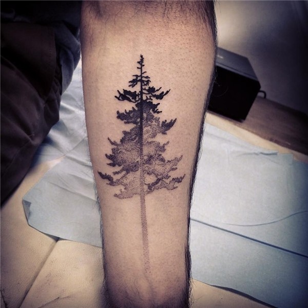 Beautiful Tree Tattoos Part 2 Pine tattoo, Tattoos for guys,