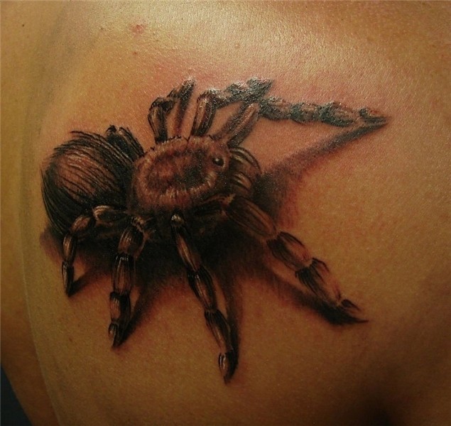 Beautiful realistic spider tattoo - Tattoos Book - 65.000 Ta