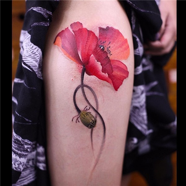 Beautiful watercolor flower tattoo Poppies tattoo, Tattoos,