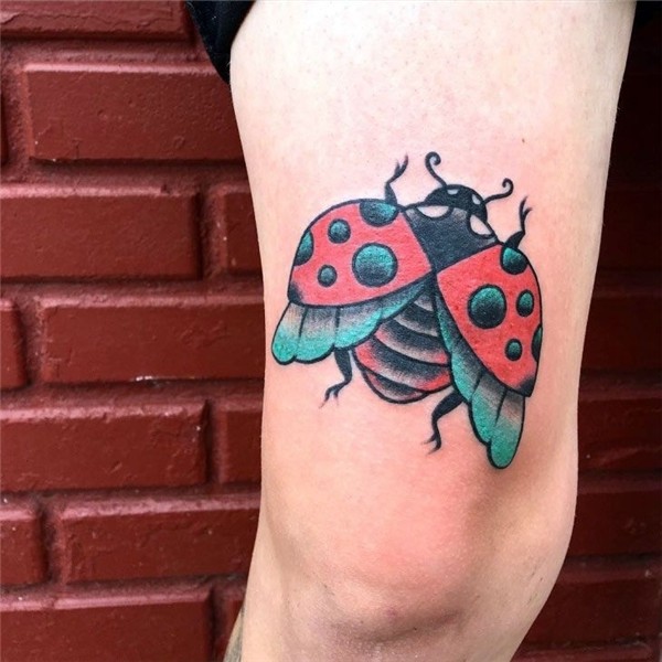 Big enough ladybug tattoo Lady bug tattoo, Ladybird tattoo,