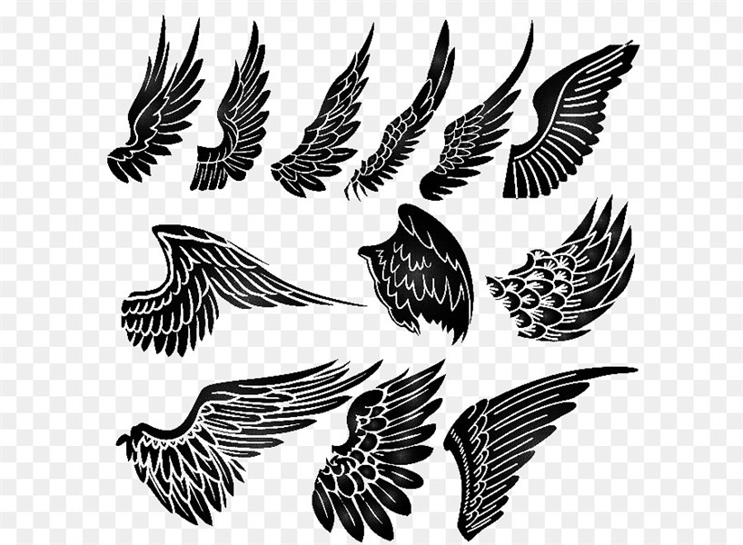 Bird Tattoo png download - 659*659 - Free Transparent Tattoo