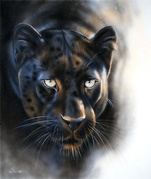 Black panther tattoo, Jaguar animal, Black panther cat