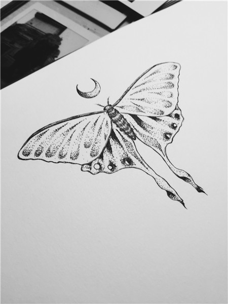 Butterfly Moth Tattoos * Arm Tattoo Sites