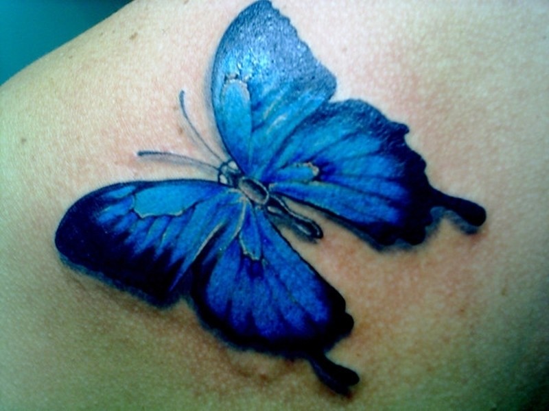 Butterfly tattoos - Page 30 of 41 - Tattoos Book - 65.000 Ta