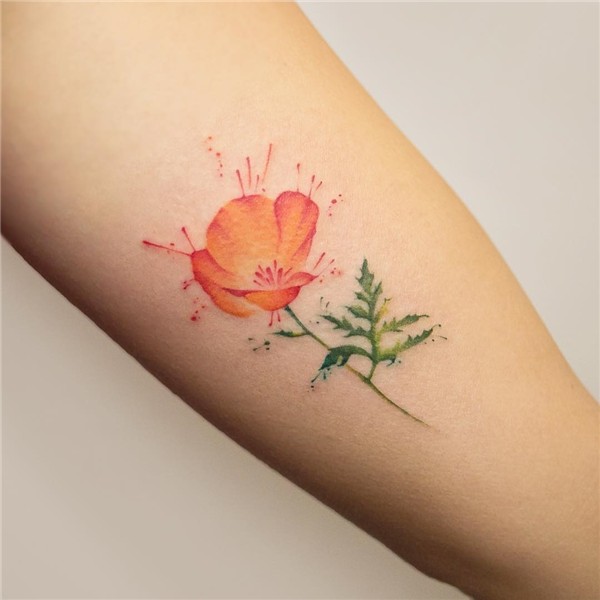 Cactus by @lindseebeetattoo - Tattoogrid.net