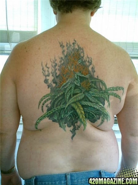 Cannabis Leaves Tattoo On Back Body For Men