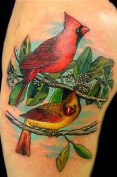 Cardinal Bird Tattoos for Women - Bing images