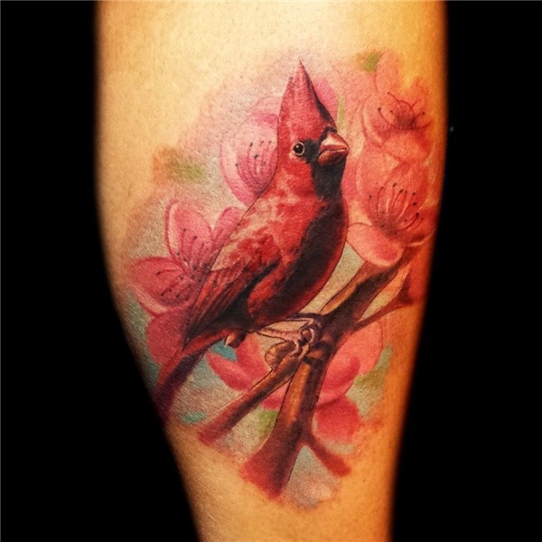 Cardinal Tattoo by DanielPokorny on DeviantArt Cardinal tatt
