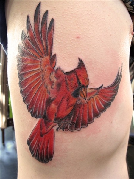 Cardinal Tattoos Designs, Ideas and Meaning Tattoos For You