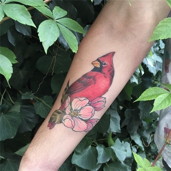 Cardinal and apple blossom tattoo ig: @vanessa.core Apple bl