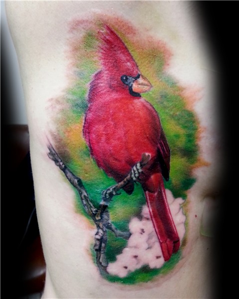 Cardinal on the ribs done by Bruce Riehl - Tattoo.com