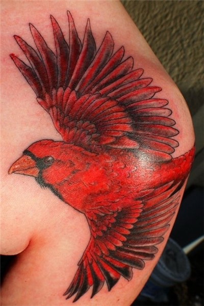 Cardinal tattoo shoulder Deborah’s Cardinal by Mr. David Rog