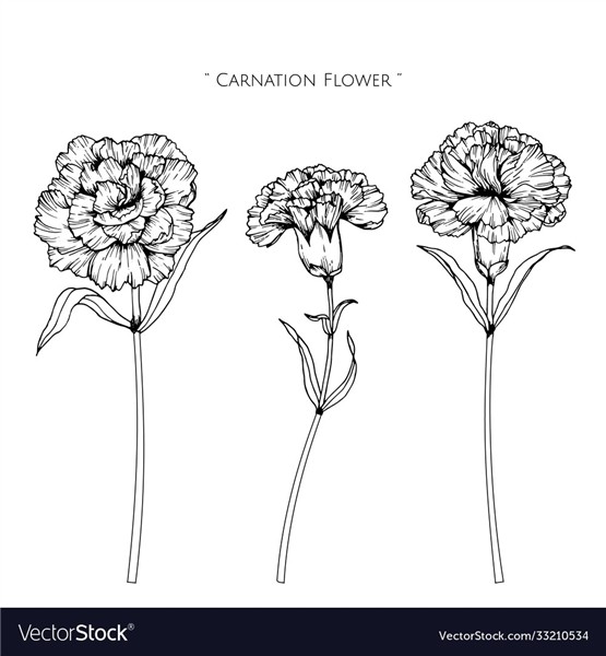 Carnation Flower Tattoo Design Photo - KFCI Fashion