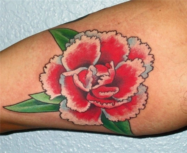 Carnation Tattoos Carnation flower tattoo, Carnation tattoo,