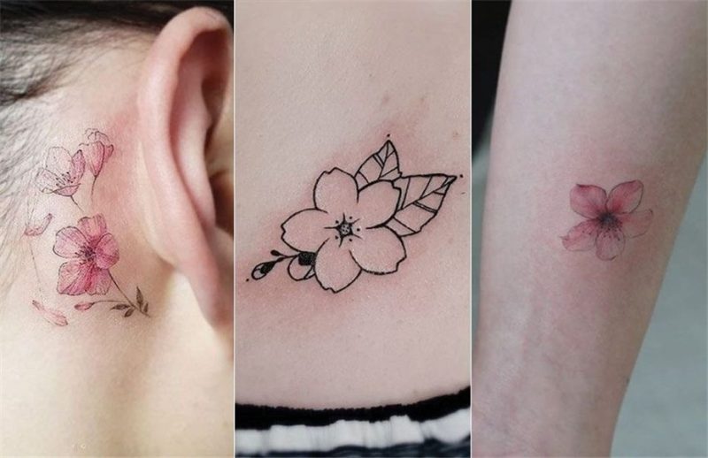 Cherry Blossom Tattoo: Meaning, Designs, Ideas and Much More
