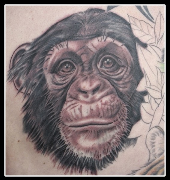 Chimpanzee Tattoo Images & Designs