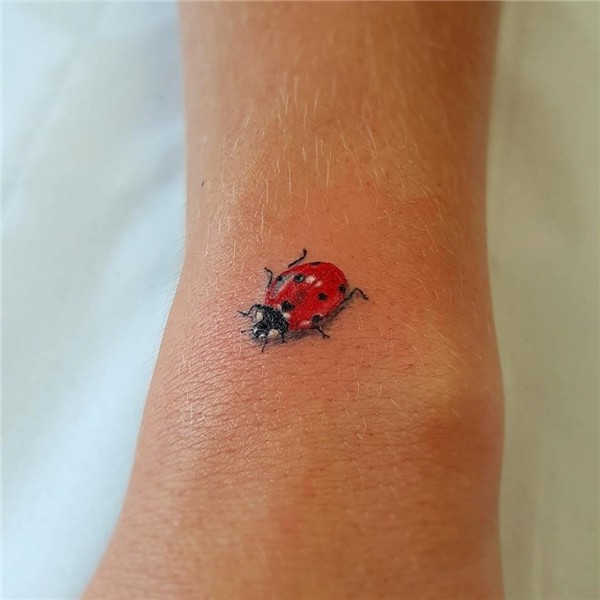 Cool Ladybug Tattoos Best Tattoo Ideas Gallery Tatuajes impr