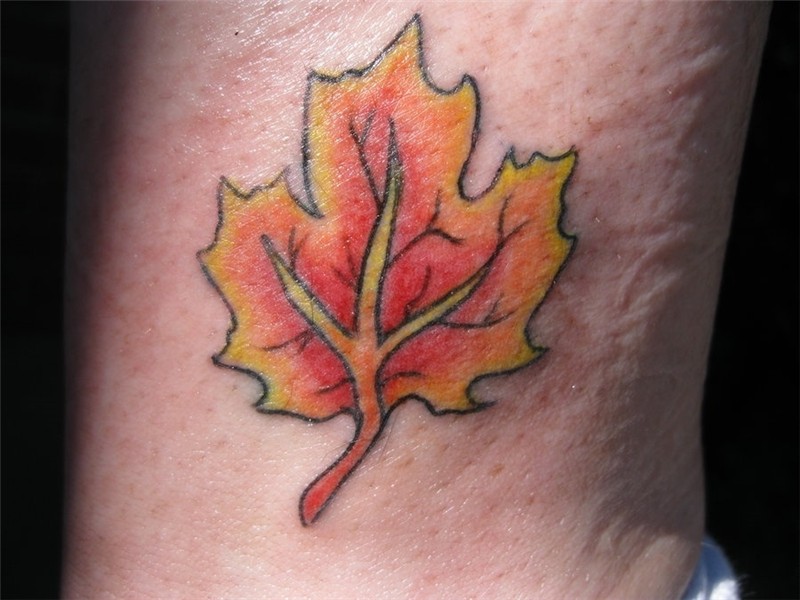 Cool Maple Leaf Tattoo Design in 2017: Real Photo, Pictures,