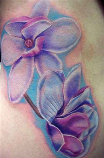 Could shading help bring out the colour of the bloom? Orchid