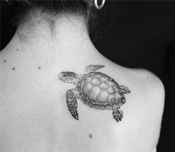 Cute Sea Turtle Tattoo Meaning Idea Art Drawing Awesome Insp