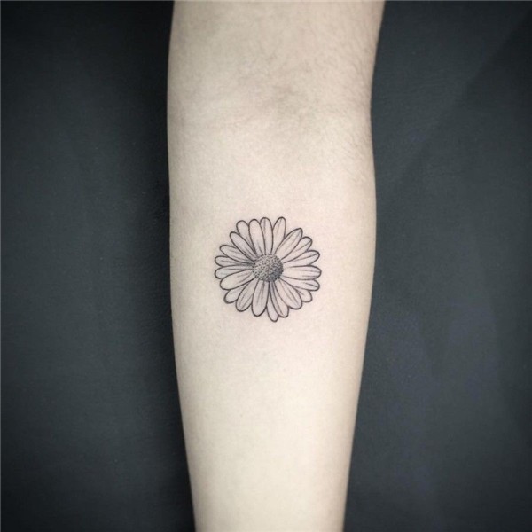 Daisy tattoo Small daisy tattoo, Daisy tattoo, Daisy flower