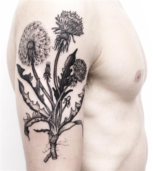 Dandelion Tattoo Meanings - Ink Vivo Dandelion tattoo design