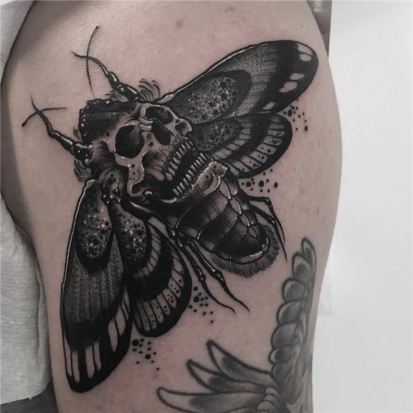 Death Moth tattoo by @neil_dransfield_tattoo at Oddfellows T