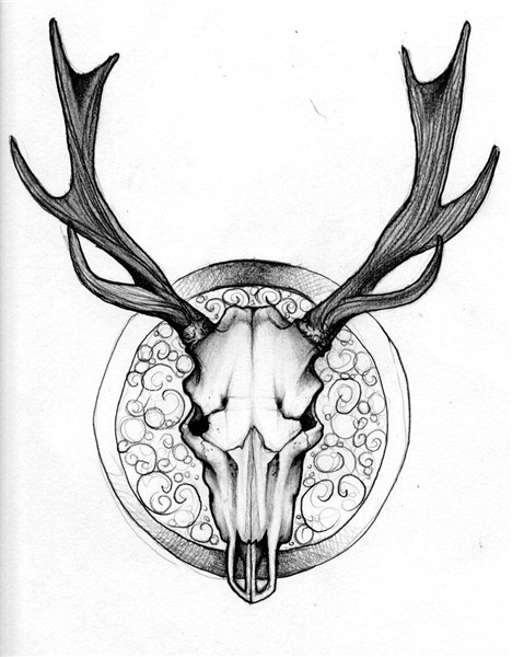 Deer Head Sketch at PaintingValley.com Explore collection of