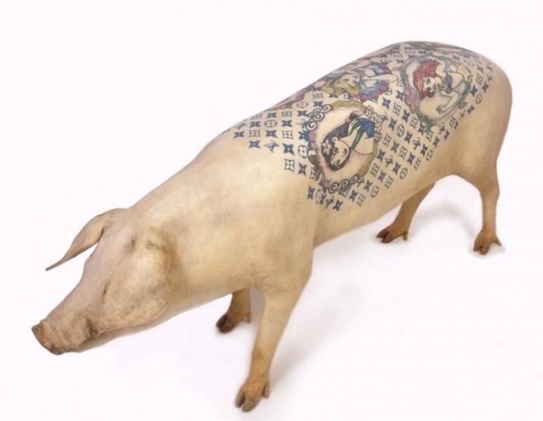 Delvoye Stuffed Tattooed Pig Frieze art fair, Pig, Pig tatto