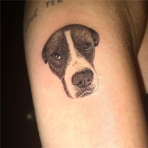 Dog Lovers, Take Note: Miley Cyrus’s Newest Tattoo Is Too Cu