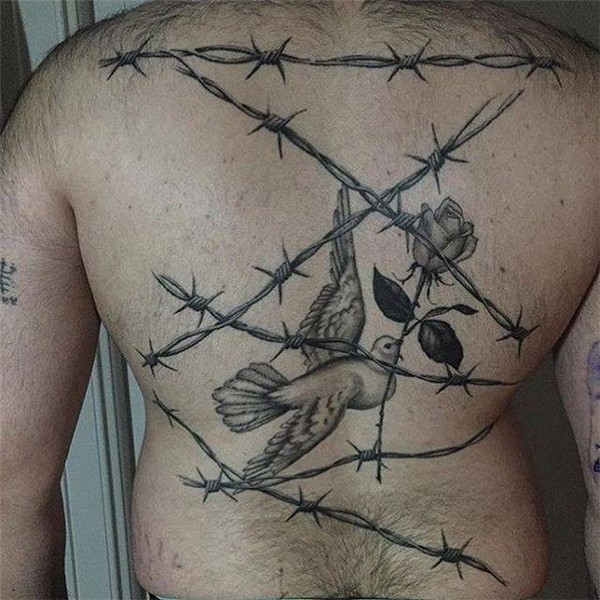 Dove, rose and barbed wire tattoo on the back.