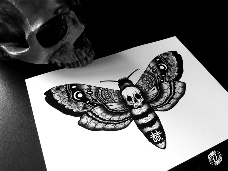 Download Deaths Head Moth svg for free - Designlooter 2020 👨