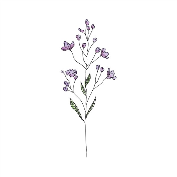 Download Free png Wildflowers Png , (+) Pictures - trzcacak.