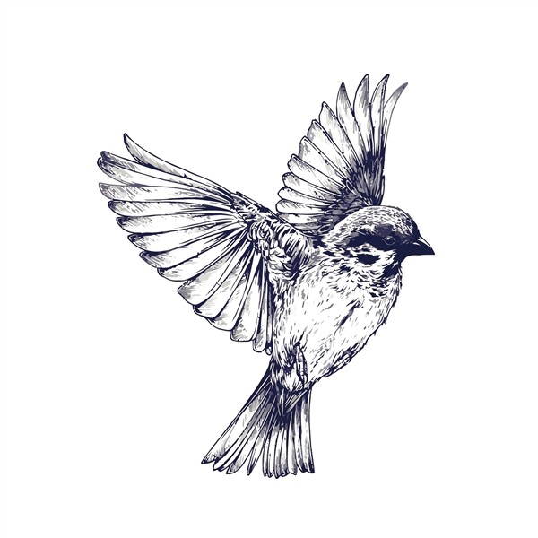 Download Tattoo Flight Sparrow Painted Drawing Vector Swallo