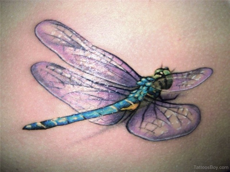 Dragonfly Tattoos Tattoo Designs, Tattoo Pictures Page 3