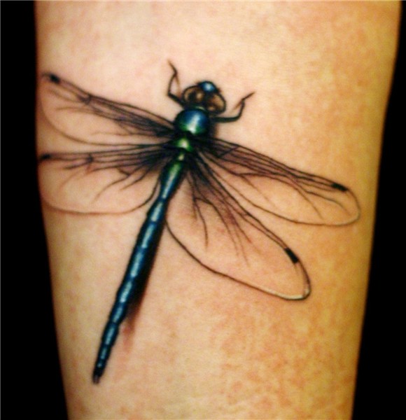 Drogonfly tattoo shine Dragonfly tattoo design, Dragonfly ta