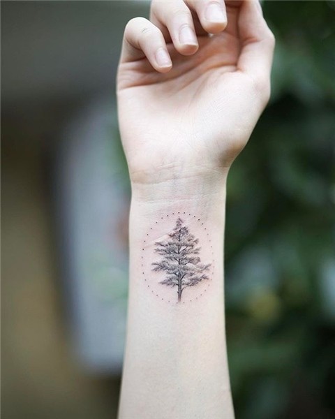 Everlasting pine tree. . #tattoo #tattoodesign #koreatattoo