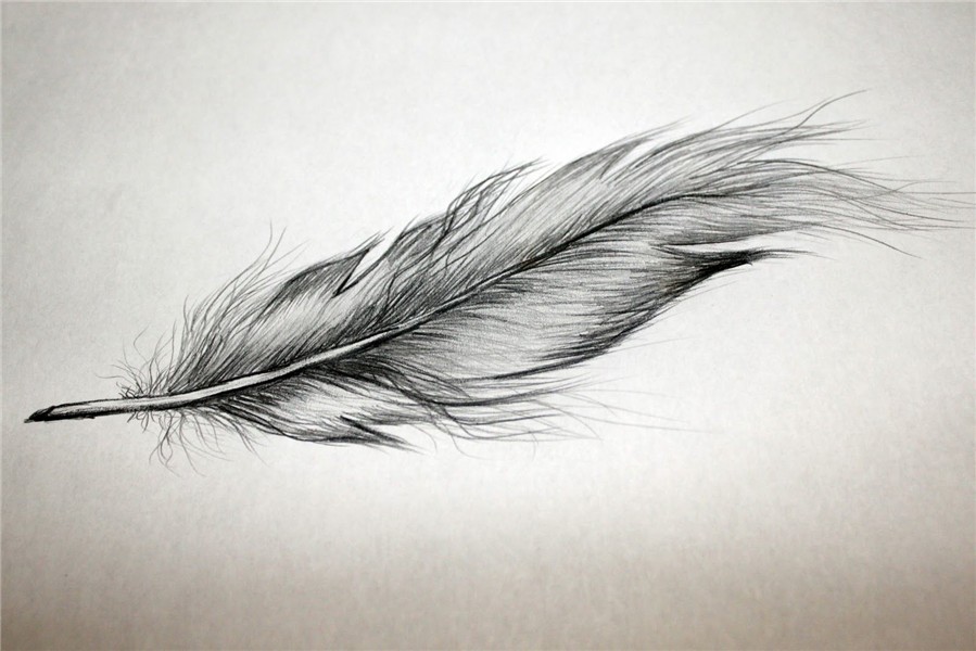 Feather tattoos, Feather tattoo design, Trendy tattoos