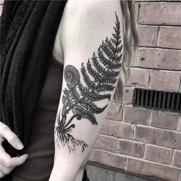 🌿 Fern Unfurling for Emily! Thank you 🌿 @art.tattoos Fern ta