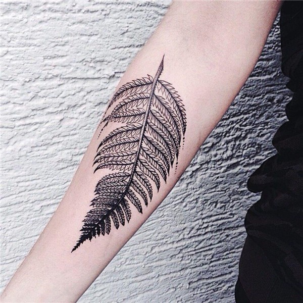 Fern leaf tattoo: meaning, photos and sketches
