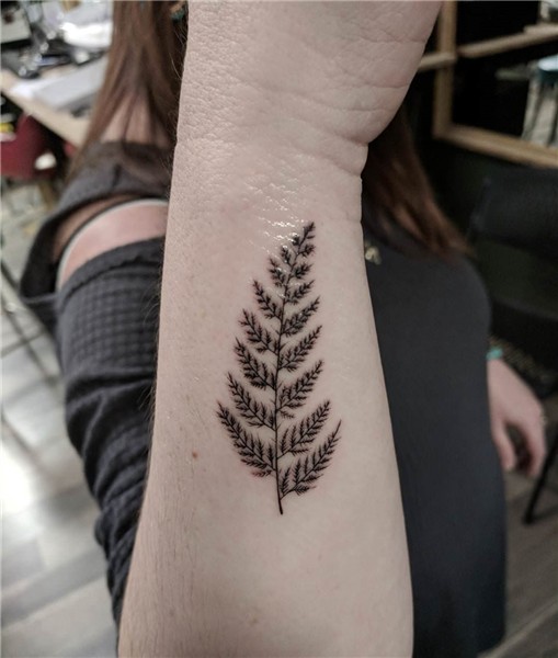 Fern tattoo by Jonathan P. At the Gentlemen Tattoos Youngsto