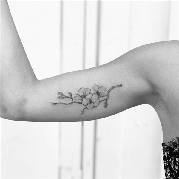 Fine line cherry blossom tattoo on the inner arm