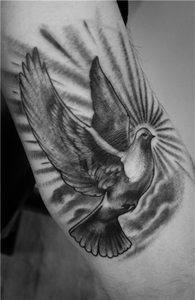 Flying Bird Tattoos - Images, Pictures - Page 7 -Tattoos Hun