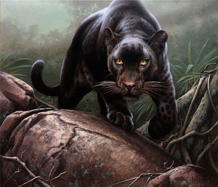 Forest-Shadow Big cats art, Animal paintings, Animals
