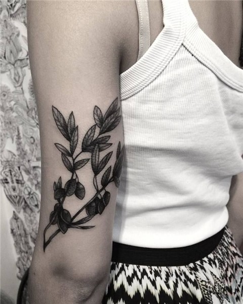 Found on Google from pinterest.com Olive branch tattoo, Oliv