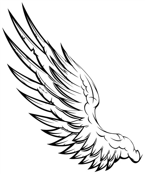 Free Wing eagle 1203578 PNG with Transparent Background