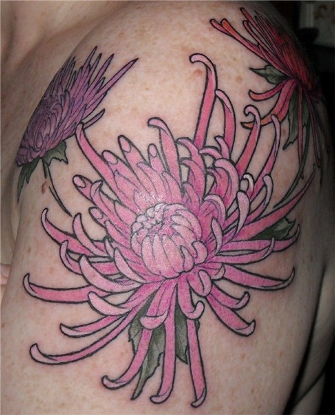 Guide for redoing my mum. Chrysanthemum tattoo, Tattoos, Mum