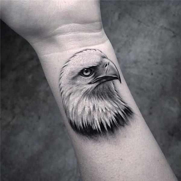 Hawk tattoo: meaning, photos and best sketches