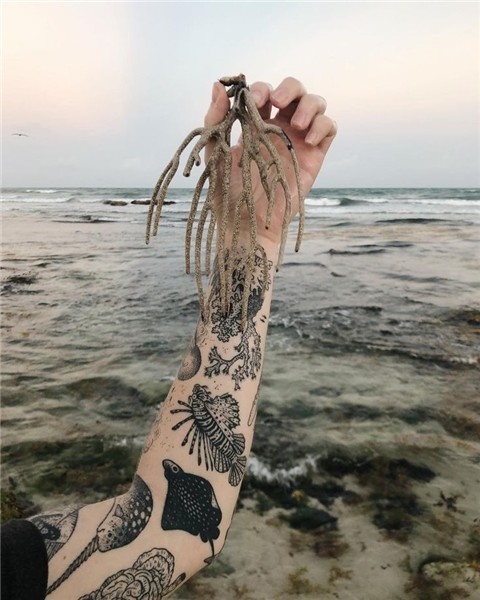 Healed sea sleeve with her salty muse and washed up coral on